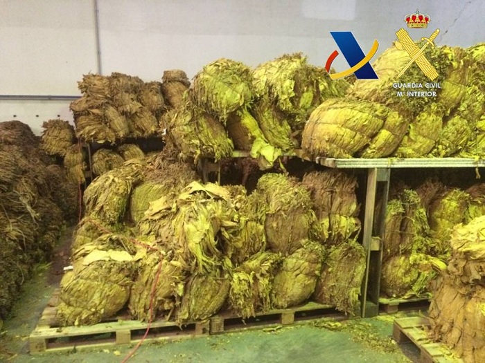 Incautadas 100 toneladas de tabaco picado, el mayor alijo aprehendido en España