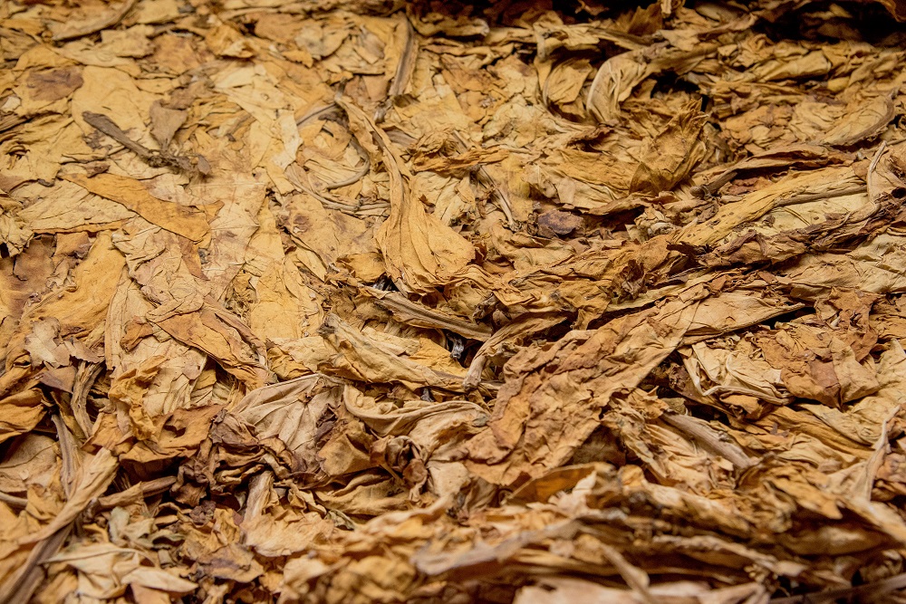160 toneladas de picadura de tabaco incautadas durante el primer semestre del año