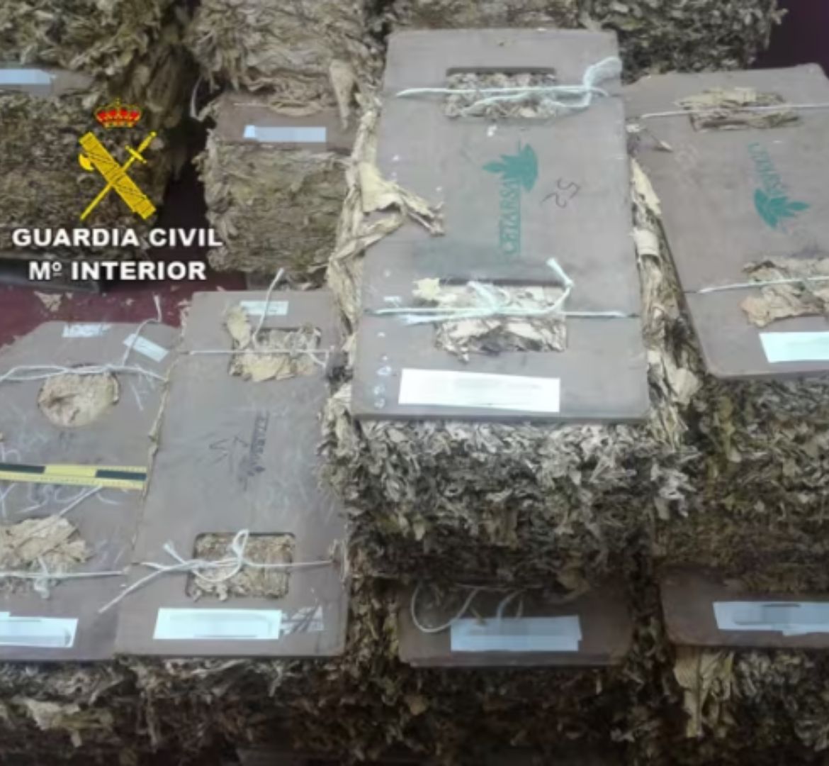 Nuevas actuaciones policiales contra el contrabando de tabaco: más de 9.800 cajetillas y más de 9.300 kilos incautados 